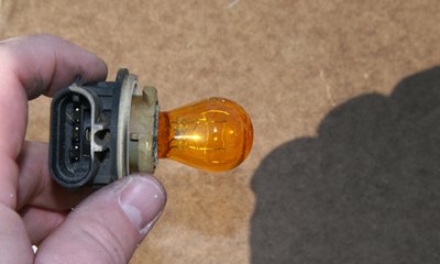 Light Bulb Filament Enlargement